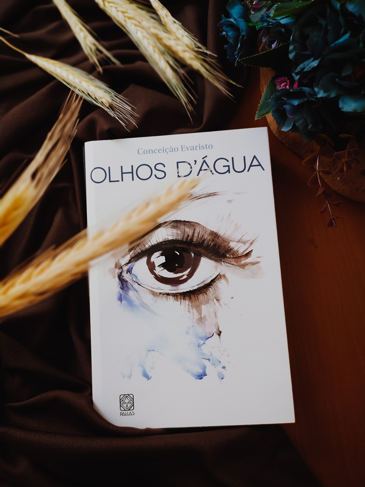 Olhos Dágua Conceição Evaristo Ave Livro 